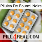 Black Ant Pills levitra2